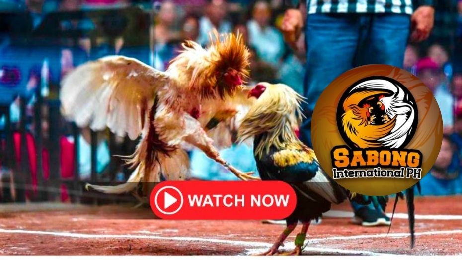 dito apps download what is action reverse bet